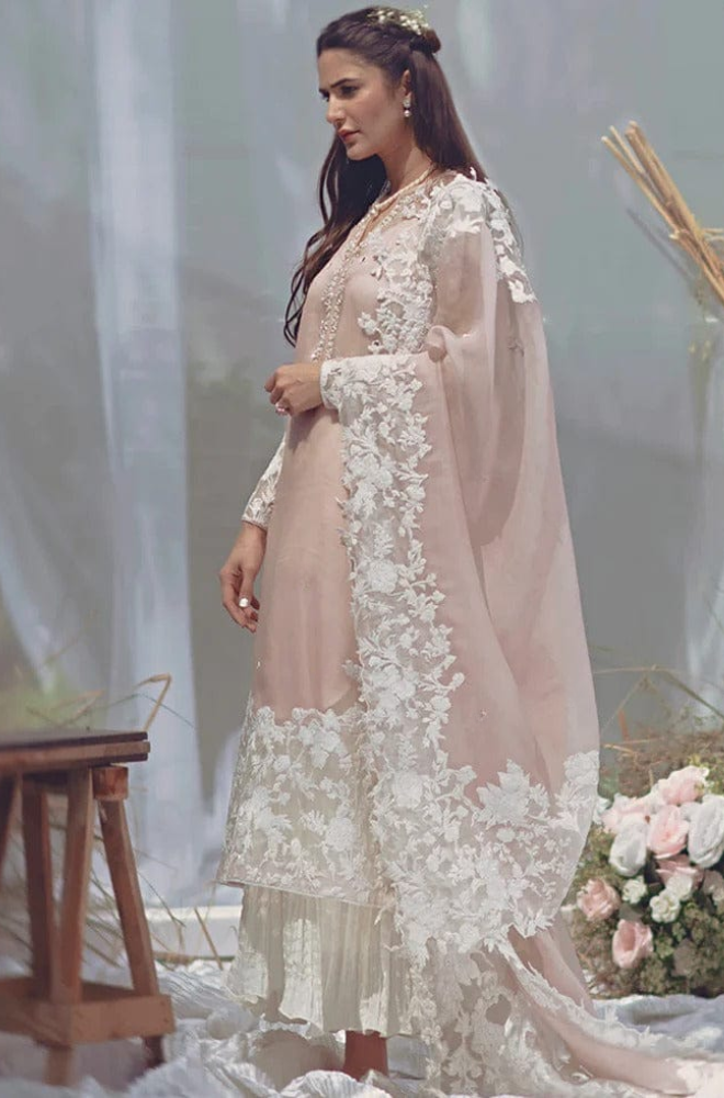 turbolight winter dress designs 2025 new-arrivals dhanak collection khaddar velvet online end year sale dhanak dress design