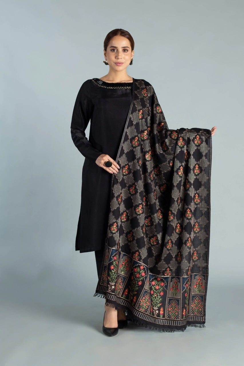turbolight winter dress designs 2025 new-arrivals dhanak collection khaddar velvet online end year sale dhanak dress design